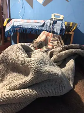 m11a2f3a4z5 online show from 03-22-26, 12:52