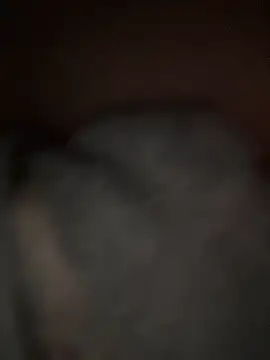 sunset24 online show from 03-29-26, 12:54