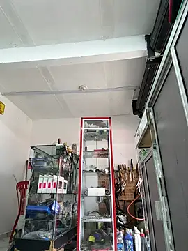 Terra-22cm online show from 03-26-26, 01:38