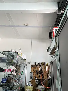 Terra-22cm online show from 04-07-26, 05:02