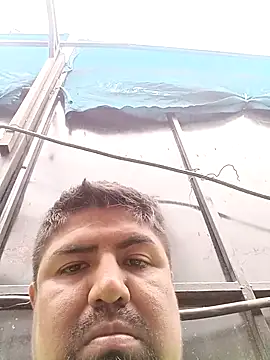 Pamaferto online show from 03-31-26, 12:16