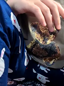 Snapshot of sasud2 chatting on 11-03-25, 02:02 sasud2 online show from 11-03-25, 02:02