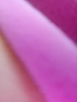 ShineBright88 online show from 10-30-25, 12:06