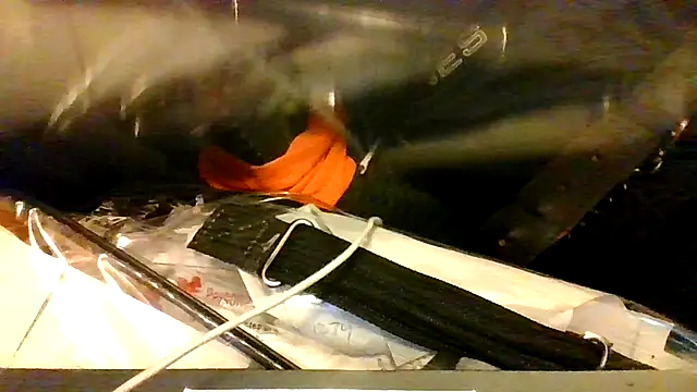 BBCGottii online show from 03-17-26, 05:33