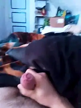 chrisdic27 online show from 04-06-26, 06:03