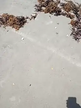 sarahkat86 online show from 04-06-26, 04:52