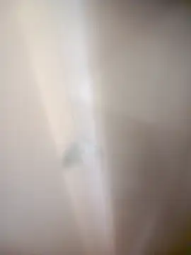 bullut06 online show from 02-20-26, 09:32