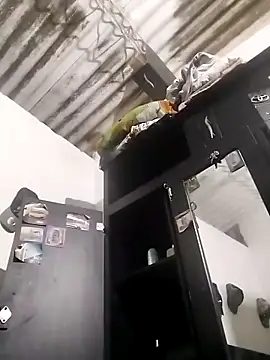 amelie sex online show from 03-05-26, 04:14