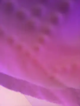 AmberMoss1 online show from 11-27-25, 08:11