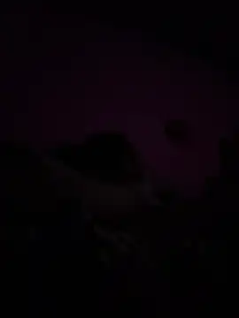 RandalHot online show from 04-09-26, 09:04