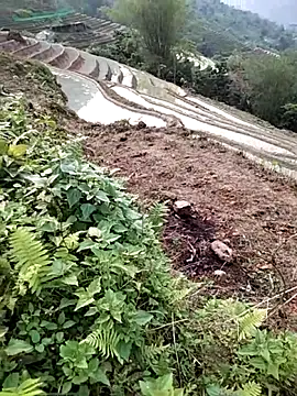 Snapshot of PhamPm70 chatting on 04-02-26, 09:51 PhamPm70 online show from 04-02-26, 09:51