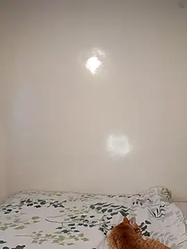 Nedambale online show from 02-03-26, 10:53