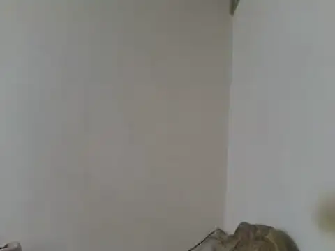 elpoop7305 online show from 04-23-26, 07:49