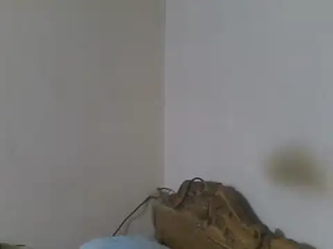 elpoop7305 online show from 06-08-26, 01:28