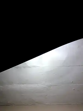 mileesha online show from 01-17-26, 06:33