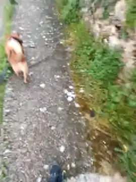 Axelitoc online show from 04-16-26, 05:08