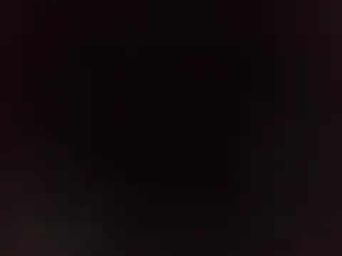 PeludoBrasil online show from 03-16-26, 04:11