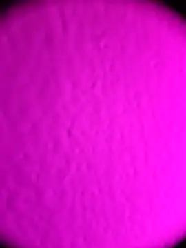 Michou02xXx online show from 02-18-26, 04:52