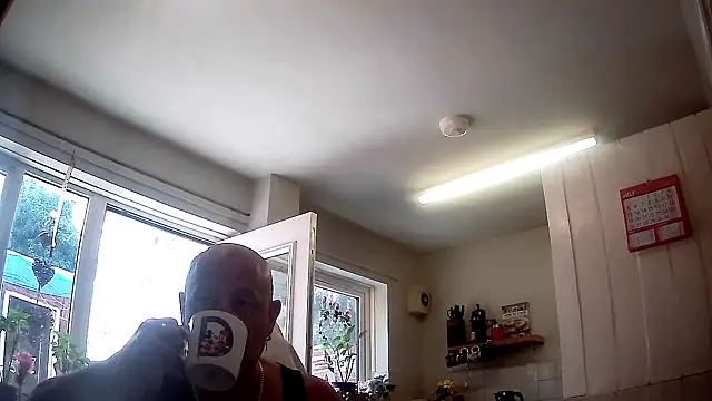 playfulchell online show from 07-17-26, 10:55