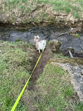 Snapshot of OliviaaFischer chatting on 03-12-26, 01:39 OliviaaFischer online show from 03-12-26, 01:39