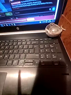 Lawrence067 online show from 03-24-26, 07:41