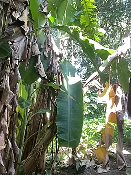 Snapshot of anastasia_cums chatting on 10-17-25, 05:54 anastasia cums online show from 10-17-25, 05:54