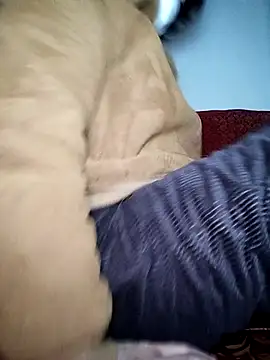 Snapshot of July-Asian chatting on 01-06-26, 10:56 July-Asian online show from 01-06-26, 10:56