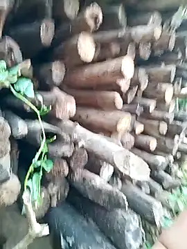 Snapshot of July-Asian chatting on 04-16-26, 09:54 July-Asian online show from 04-16-26, 09:54