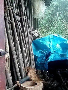 Ruaiuoi online show from 03-08-26, 12:41