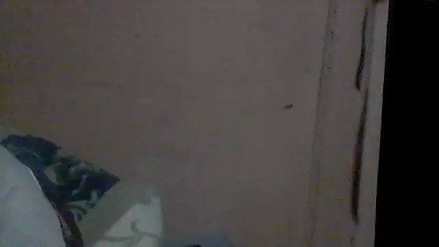 gemini loops online show from 07-14-26, 10:04