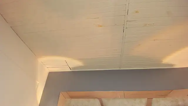 BellaBoobs  online show from 02-05-26, 10:14