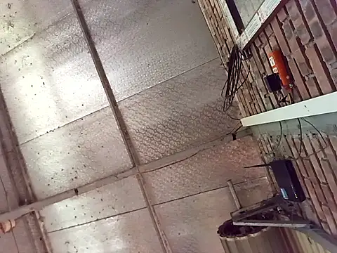 Fienjr online show from 03-29-26, 08:58