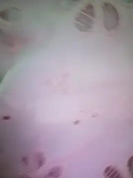 merylove-00 online show from 04-15-26, 03:30