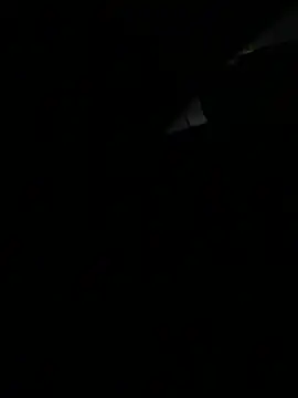 marianm29 online show from 03-29-26, 11:16