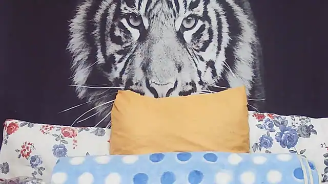 Snapshot of SweetPortableAmber chatting on 03-17-26, 11:35 SweetPortableAmber online show from 03-17-26, 11:35