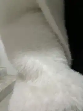 Cumonmme online show from 01-18-26, 08:23