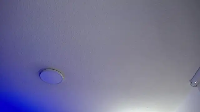  Charlotte Collins  online show from 05-20-26, 03:18