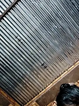 Pooja750 online show from 03-11-26, 04:57