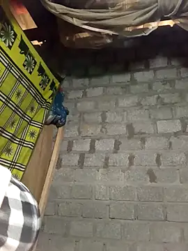 tcm-cute online show from 02-09-26, 02:15