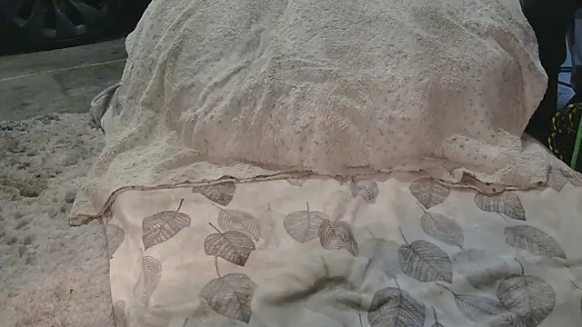 Gmajor online show from 03-15-26, 12:38