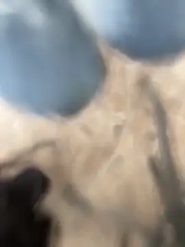 Adele Pinkk online show from 10-02-25, 02:13