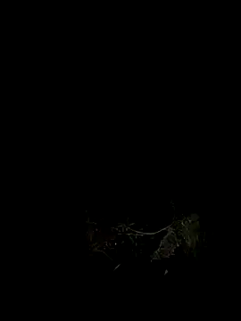 Adele Pinkk online show from 10-07-25, 12:02