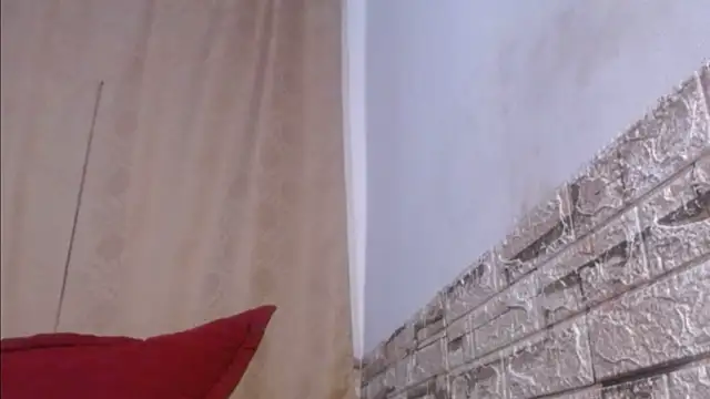 Bicky 24 online show from 05-26-26, 08:54