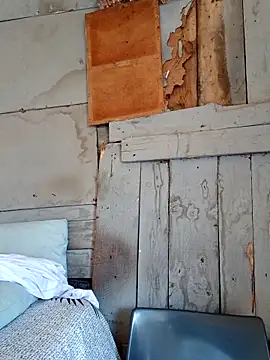 SeductiveDick1997 online show from 03-19-26, 08:18