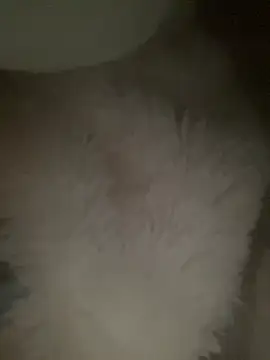 Snapshot of ruiki666 chatting on 03-09-26, 08:07 ruiki666 online show from 03-09-26, 08:07