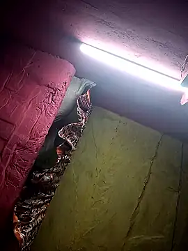 Snapshot of Suman_ji1 chatting on 01-11-26, 12:15 Suman ji1 online show from 01-11-26, 12:15