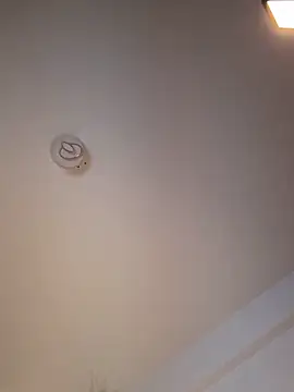 Snapshot of Andrestarr chatting on 03-11-26, 06:47 Andrestarr online show from 03-11-26, 06:47