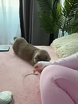 Snapshot of Andrestarr chatting on 03-14-26, 02:55 Andrestarr online show from 03-14-26, 02:55