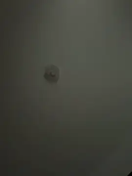 Snapshot of Andrestarr chatting on 04-02-26, 02:04 Andrestarr online show from 04-02-26, 02:04