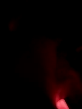 LeLoup49 online show from 07-01-26, 02:13